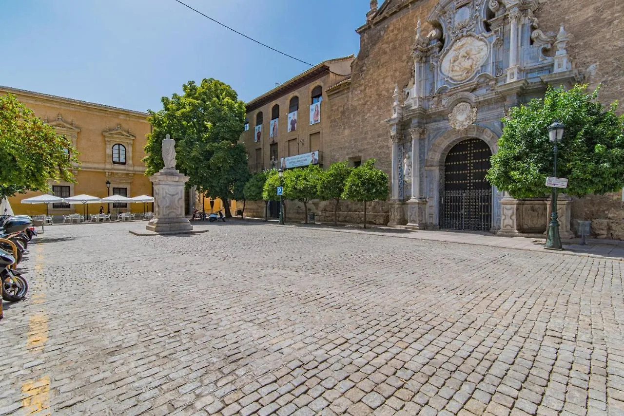 Mosaiko Homes Catedral Granada Spanien